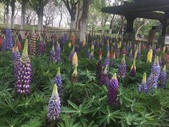 -白塘生态植物园