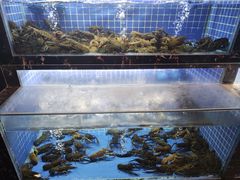 -91小龙虾·香辣蛙(蛇口店)