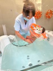 -安琪朵朵独栋花园月子中心