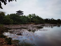 -沙美村