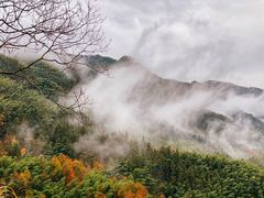 -塔川景区