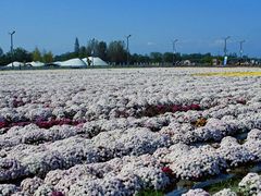 -中国天府农业博览园