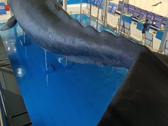 -上海海洋大学鱼文化博物馆(军工路校区)