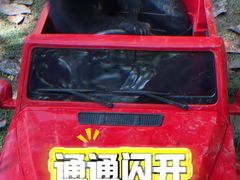 -合肥野生动物园