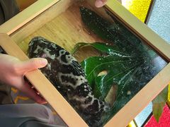 -ONE FULL 古董港式海鲜火锅