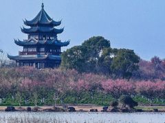 -上海海湾国家森林公园