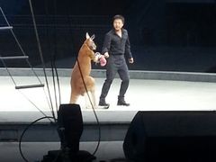 android_upload_pic-灵玲国际马戏城
