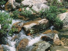 -海南热带雨林国家公园吊罗山景区