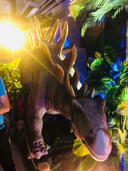 -恐龙探索乐园(磁器口店)