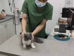 -安安宠医安欣宠物医院
