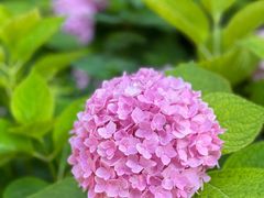 -北京石刻艺术博物馆