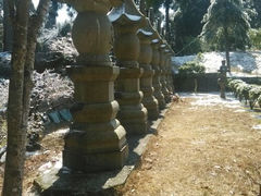 android_upload_pic-玉苍山国家森林公园