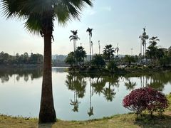 -枫香湖儿童公园