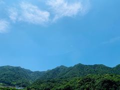 -龙坞茶村