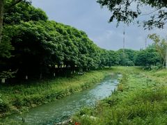 -两河城市森林公园