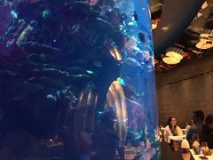 -迪拜帆船酒店海底餐厅