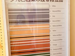 -勇气斑马·巴西柔术&跆拳道(浦东三林店)