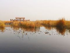 -白洋淀景区