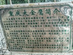 -大金鹰园