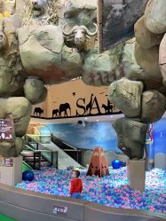 -卡通尼·Safari非洲探索乐园·生日会(金桥国际商业广场店)