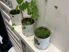 -大树餐厅(环球港店)