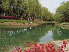 -贡湖湾湿地公园