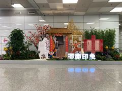 -郑州新郑国际机场-T2航站楼