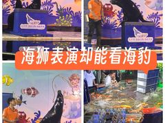 -太平洋海底世界