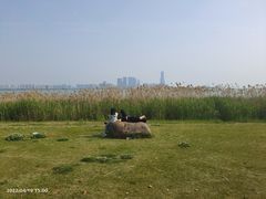 -苏州东太湖生态园