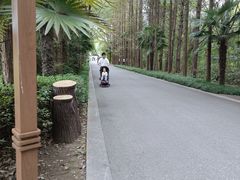 -同里国家湿地公园