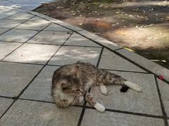 -莲湖公园