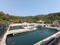 -广东惠东海龟国家级自然保护区