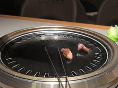 -杨小佳·齐齐哈尔烤肉·烤串(广州店)