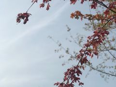 -回龙观体育文化公园