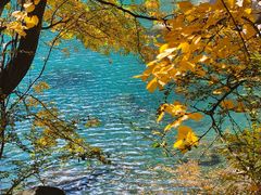 -叠溪松坪沟景区