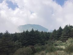 -白草畔自然风景区