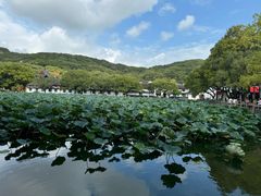 -普陀山风景名胜区-法雨禅寺