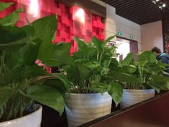 -甸园锦江宾馆(北外滩店)