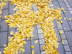 -两江幸福广场
