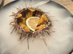 -连鹭海鲜·海肠捞饭·海胆饭(星海店)