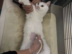 -宠颐生中康贝怡动物医院