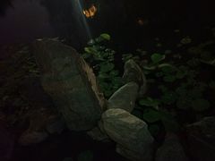 -木塔寺遗址生态公园