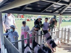-大连铭湖国际观光牧场