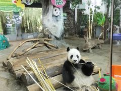 -海南热带野生动植物园