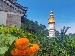 -五台山风景区