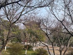 -采石矶景区