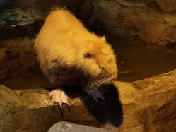 -酷嗒动物文化乐园(cutezoo西溪乐天城店)