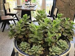 -陈熹公民族美食文化餐厅(中华广场店)