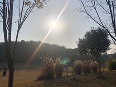 -黄陂区野村谷景区