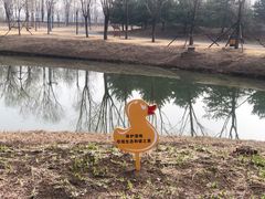 -东郊湿地公园